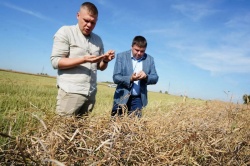 Глава округа Дмитрий Павлов с рабочей поездкой посетил поля «Азот-Агро».